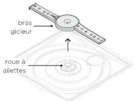Fisher & Paykel DD24DTX6I1 - Retrait et nettoyage du bras gicleur - 1