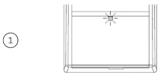 Fisher & Paykel DD24DTX6HI1 - Utilisation d'un produit de rinçage - 1