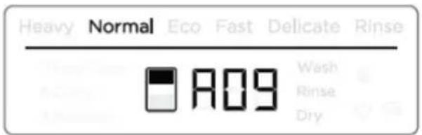 Fisher & Paykel DD24SV2T9 N - Si la désinfection ne s'est pas effectuée correctement : - 1