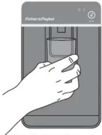Fisher & Paykel RF170WDRUX5 N - Distribution - 1