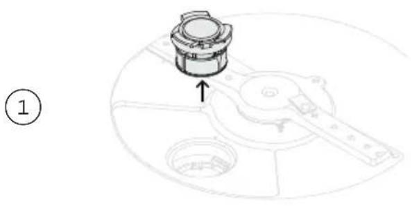 Fisher & Paykel DD24DCTW9 N - Retrait et nettoyage du filtr de vidange - 1
