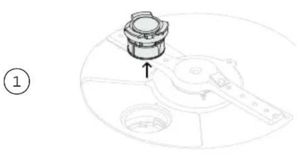 Fisher & Paykel DD24DCTW9 N - Removing and cleaning the drain filter - 1