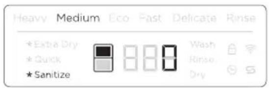 Fisher & Paykel DD24DCTW9 N - Using SANITIZE - 1