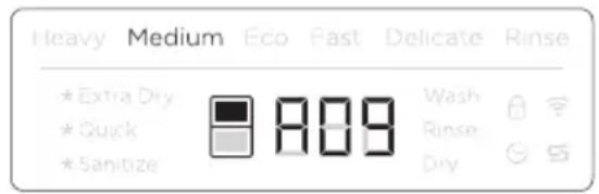 Fisher & Paykel DD24DCTW9 N - Utilisation de l'option SANITIZE (DÉSINFECTION) - 2