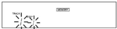 TRACK STEP MEMORY