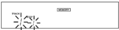 TRACK STEP MEMORY