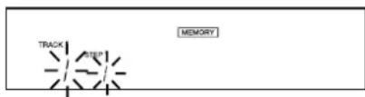 TRACK STEP MEMORY