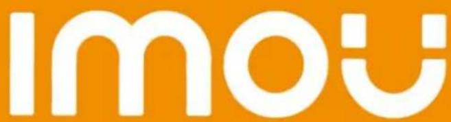 IMOU Ranger - Isença de responsabilitad - 2
