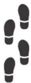 HAUCK Rapid 4 Trioset - 1c 1d - 22