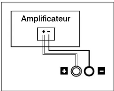 POLK T50 - Connexion des enceintes - 1