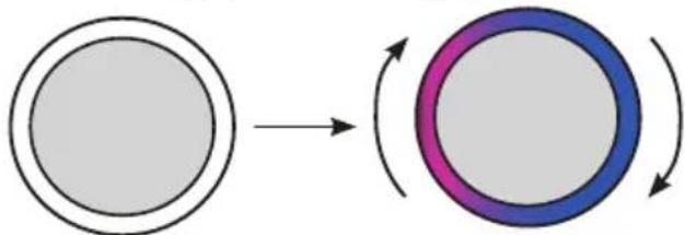 GE Profile P7CEBBS6RBB - Notification LED - 6