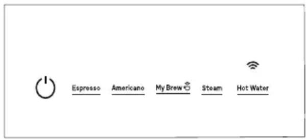 Espresso Americano My Brew Steam Hot Water