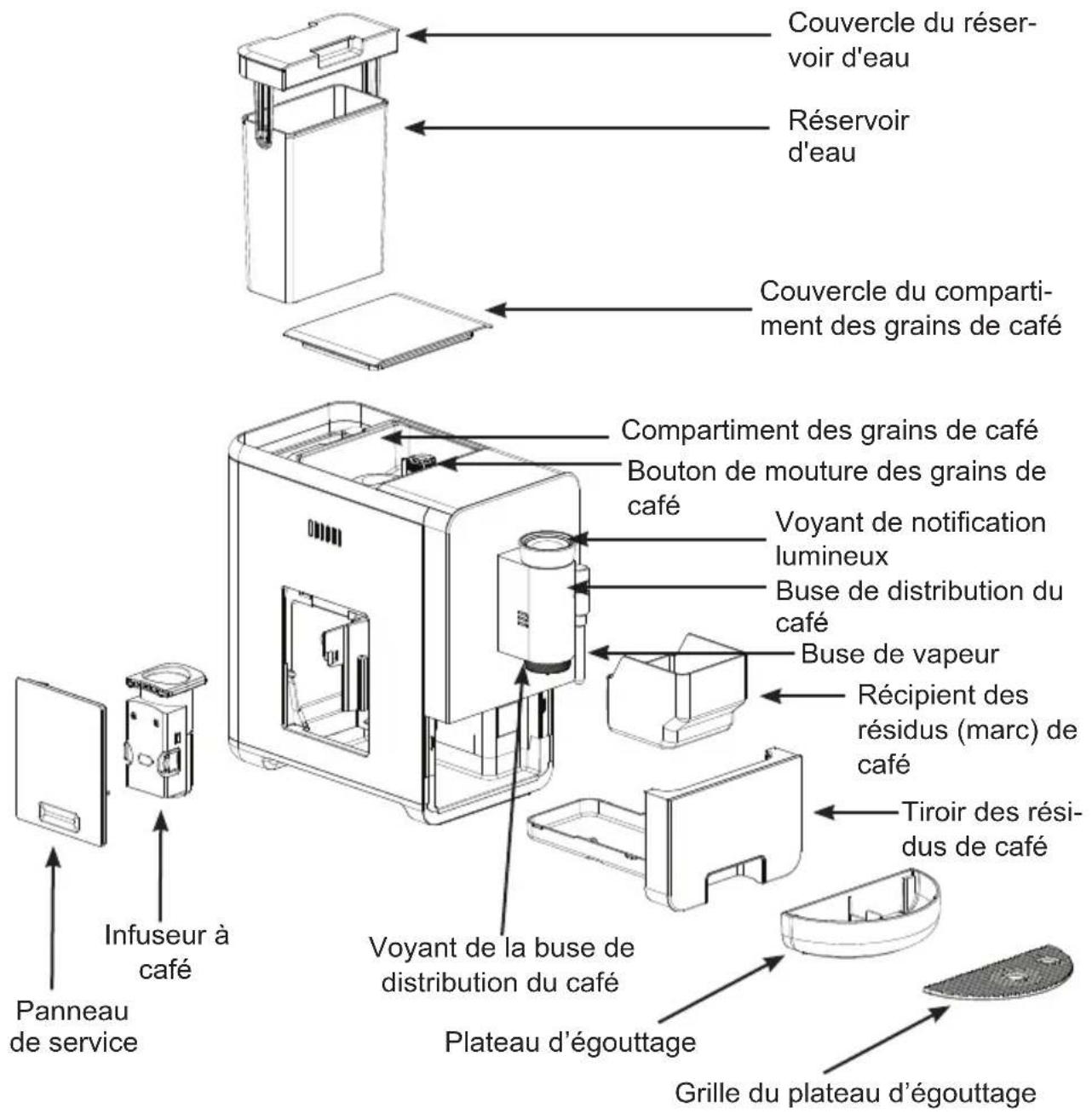 Couvercle du réservoir d'eau Réservoir d'eau Couvercle du compartiment des grains de café Compartiment des grains de café Bouton de mouture des grains de café Voyant de notification lumineux Buse de distribution du café Buse de vapeur Récipient des résidus (marc) de café Tiroir des résidus de café Voyant de la buse de distribution du café Plateau d'égoutage Grille du plateau d'égoutage Infuseur à café Panneau de service
