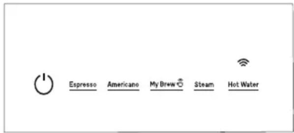 Espresso Americano My Brew Steam Hot Water
