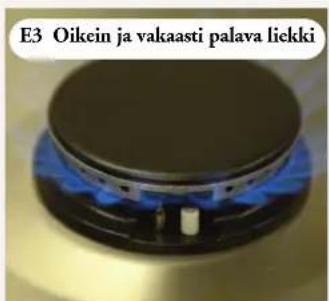 ASKO HG1825AB - Toiminnan tarkistaminen (katso kuvat E/F) - 8