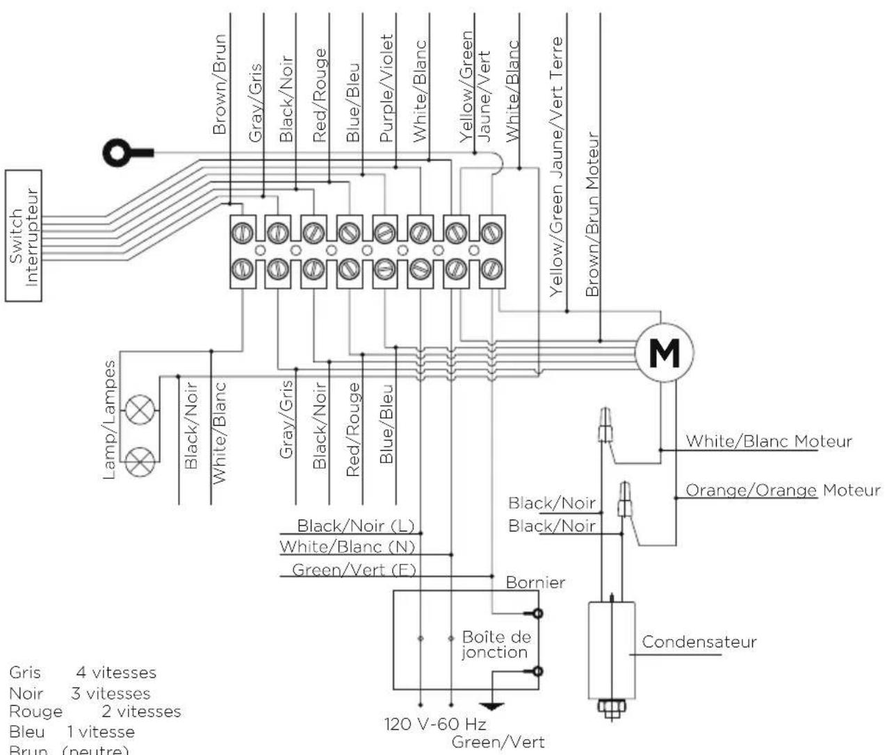 Fisher & Paykel HP24ILTX1 - ⑦ Raccordement électrique - 1