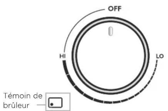 Fisher & Paykel CG365DLPX1 - Avant d'utiliser la surface de cuisson pour la première fois - 3
