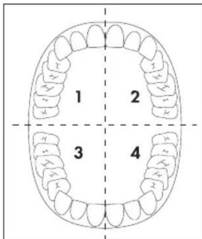 DENTALUX DAZD 3.7 Li B2 - BEMARK - 1