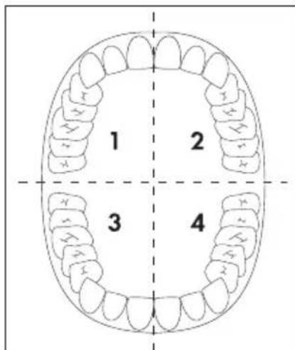 DENTALUX DAZD 3.7 Li B2 - REMARQUE - 1