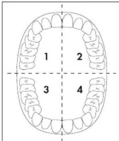 DENTALUX DAZD 3.7 Li B2 - OPMERKING - 1