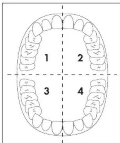 DENTALUX DAZD 3.7 Li B2 - HINWEIS - 1