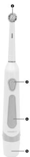DENTALUX NBZ 45 A1 - 2