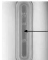 Concept RK3325 - Wassersteinbeseitigung - 1