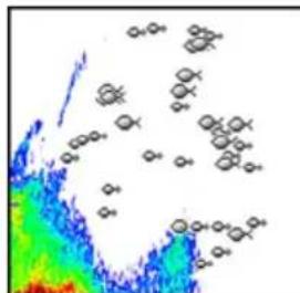 LOWRANCE HOOK Reveal 5x - Fish ID - 2