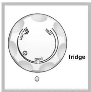 INDESIT TAAN 6 FNF1 - Optimaal gebruik van de koelkast - 1