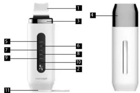 Concept Perfect Skin PO2050 - IERICESAPRAKSTS - 1