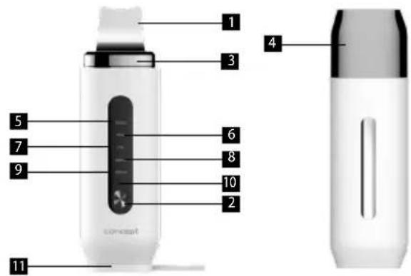 Concept Perfect Skin PO2050 - OPIS PRODUKTU - 1