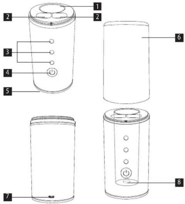 Concept Perfect Smile ZK0005 - PRODUCT DESCRIPTION - 1