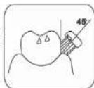 Concept Perfect Smile ZK4011 - Modes de nettoyage - 2