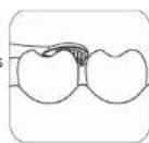 Concept Perfect Smile ZK4011 - Modes de nettoyage - 4