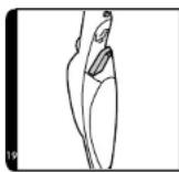 Concept CP2010 - Contubo - 6