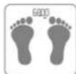 Concept Perfect Health VO3000 - WIEGEN - 1
