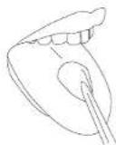 Concept Perfect Smile ZK4021 - Rodzaje dysz - 3