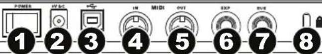 M-AUDIO Axiom AIR 49 - Paneltrasero - 1