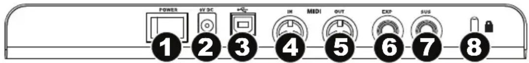 M-AUDIO Axiom AIR 49 - Rear Panel - 1