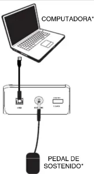 M-AUDIO Keystation 49 II - Diagrama de connexion - 1