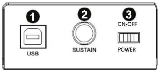 M-AUDIO Keystation 49 II - Rear Panel - 1