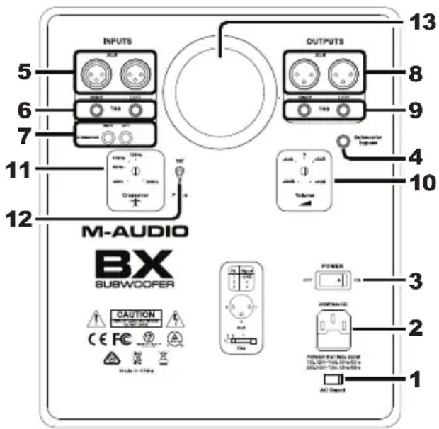 M-AUDIO BX Subwoofer - Rückseite - 1