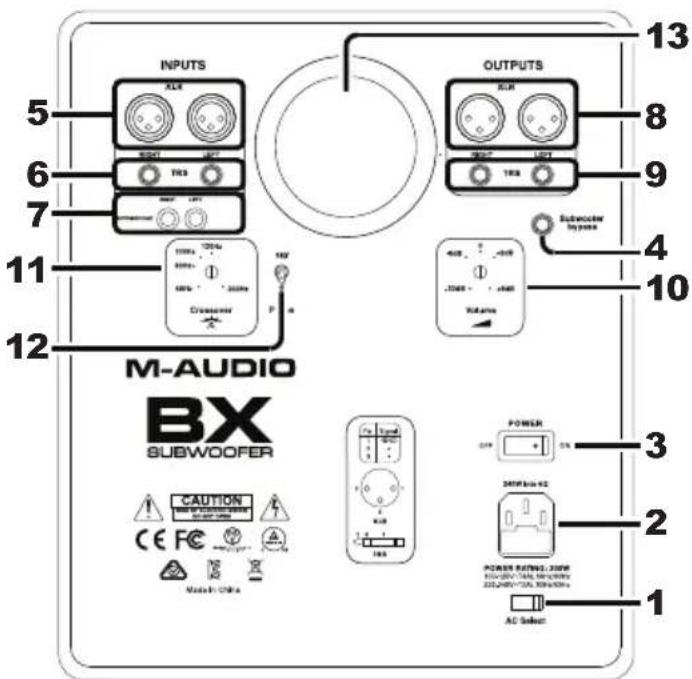 M-AUDIO BX Subwoofer - Rear Panel - 1
