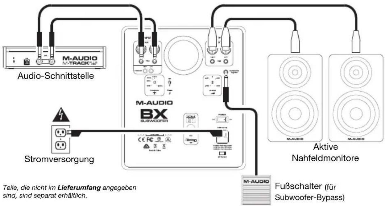M-AUDIO BX Subwoofer - Schnellstart / Anschlussdiagramm - 1