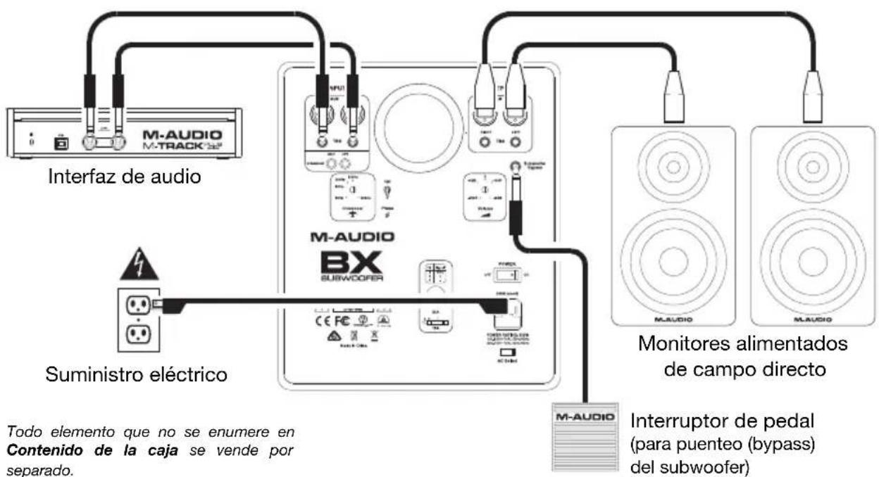 M-AUDIO BX Subwoofer - Soporte - 1