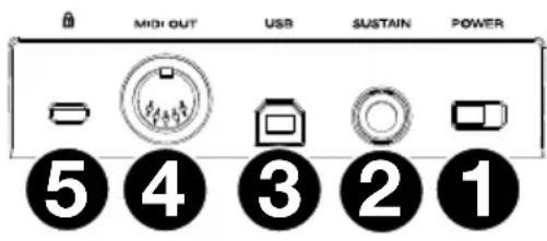 M-AUDIO Oxygen Pro 61 - Rear Panel - 1