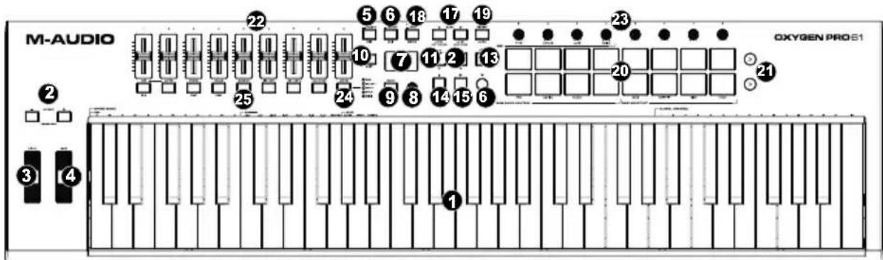 M-AUDIO Oxygen Pro 61 - Oberseite - 1