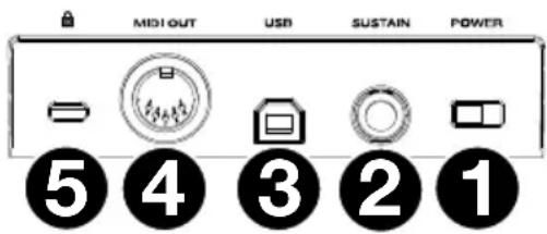 M-AUDIO Oxygen Pro 61 - Paneltrasero - 1