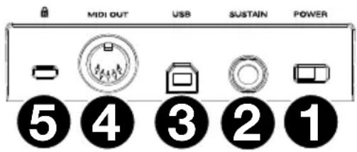 M-AUDIO Oxygen Pro 61 - Rückseite - 1
