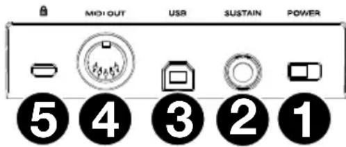 M-AUDIO Oxygen Pro 25 - Rear Panel - 1